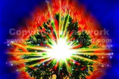 The Burning Bush