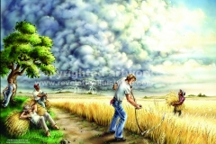 The Harvest